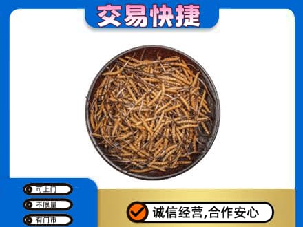 牟平区高价回收散虫草